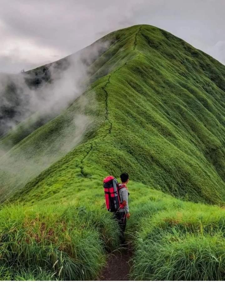 Eltari Homestay Tetebatu Exteriér fotografie