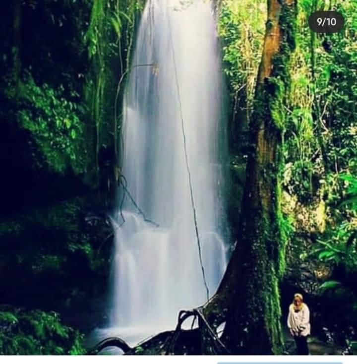 Eltari Homestay Tetebatu Exteriér fotografie