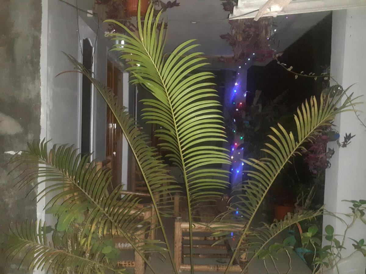 Eltari Homestay Tetebatu Exteriér fotografie