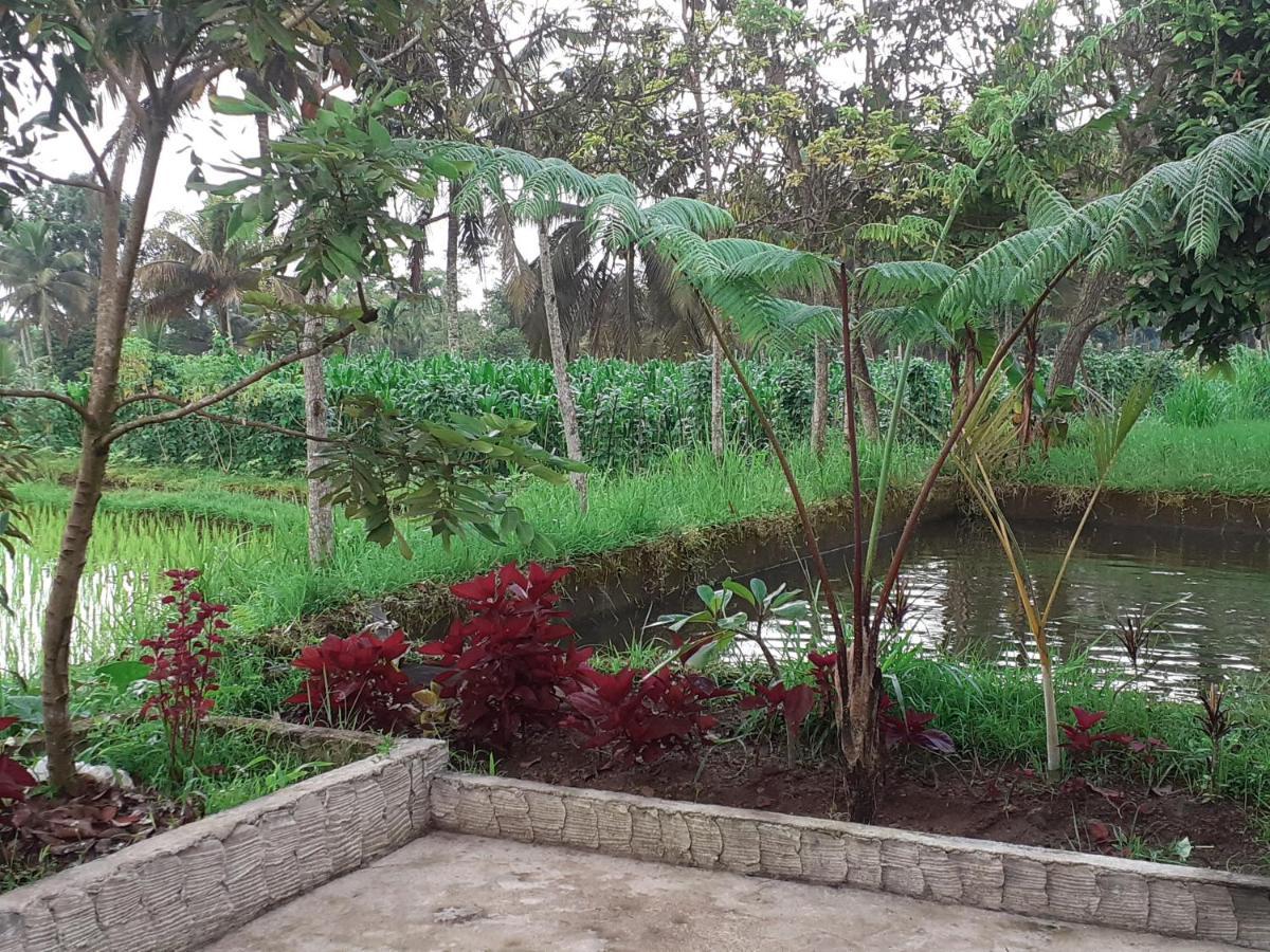 Eltari Homestay Tetebatu Exteriér fotografie