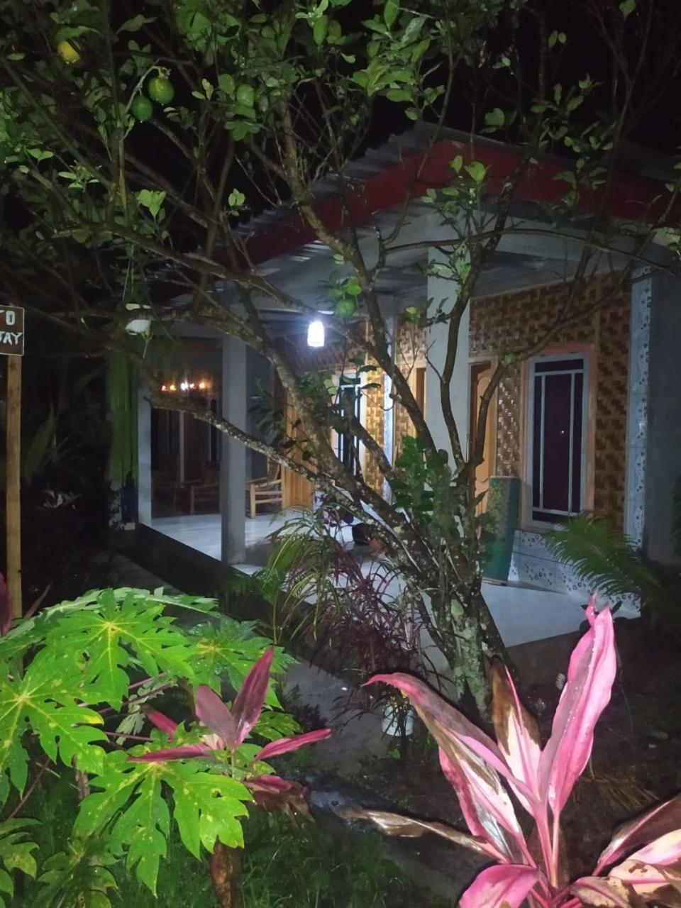 Eltari Homestay Tetebatu Exteriér fotografie