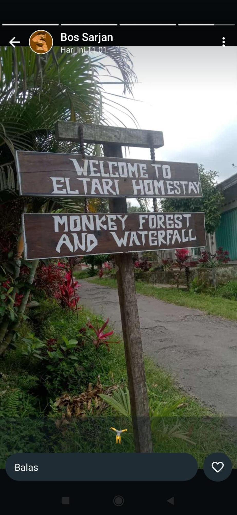 Eltari Homestay Tetebatu Pokoj fotografie