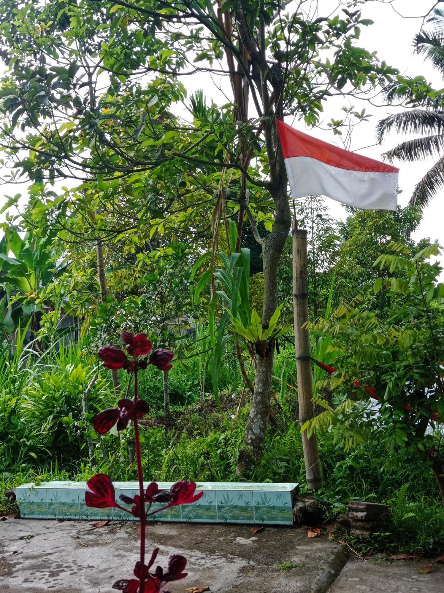 Eltari Homestay Tetebatu Pokoj fotografie